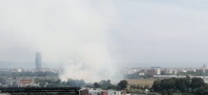 Imagen de uno de los 5 incendios en la Dehesa de Tablada en lo que llevamos de verano. Fotografía: Mesa Ciudadana por Tablada.